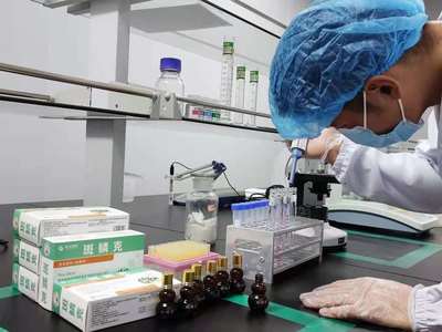金元四醫(yī)生物科技與昊祥藥業(yè)嚴(yán)抓產(chǎn)品質(zhì)量關(guān)，推動(dòng)生物科技研究開(kāi)發(fā)
