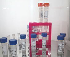 引進美國生物工程前沿技術，打造高科技生物制品研發新生態