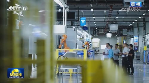 以生物科技研發為引擎，加速新質生產力發展，夯實高質量發展根基