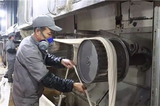 創新驅動，綠色賦能——阿拉爾中泰紡織科技公司毛型纖維新產品成功下線