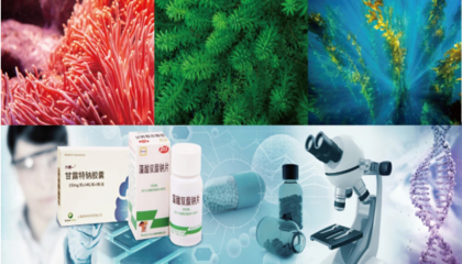 2020海博會 開啟通往“藍色藥庫”的生物科技新篇章